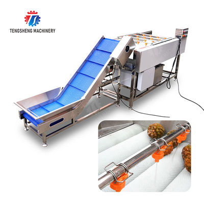 Orange Potato  Onions Ginger Potato Carrot Taro Sweet potato Yam Saiko persimmon papaya horseshoe Simple melon and fruit lifting and brush roller cleaning production line