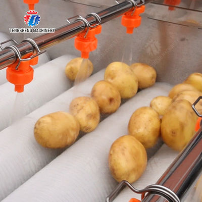 Orange Potato  Onions Ginger Potato Carrot Taro Sweet potato Yam Saiko persimmon papaya horseshoe Simple melon and fruit lifting and brush roller cleaning production line
