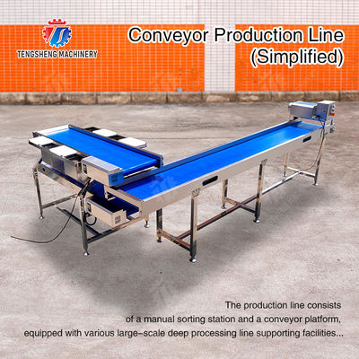 Conveyor Production Line Simplified Orange Potato  Onions Ginger Potato Carrot Taro Sweet potato Yam Saiko persimmon papaya horseshoe processing production Grading Transporting Machine