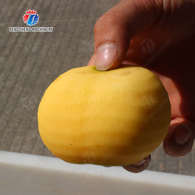 Persimmon peeling machine processing production Supplying Machine