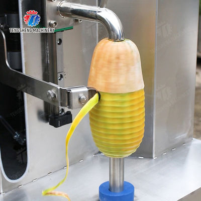 Single knife peeling machine papaya chieh-qua pumpkin wax gourd Taro Peeling polishing processing production