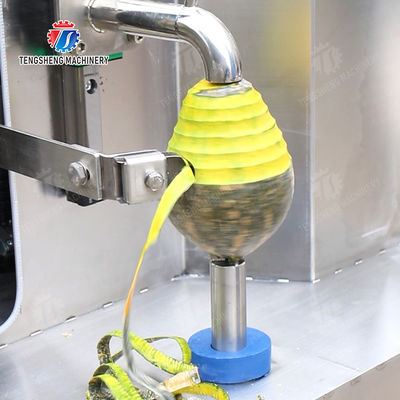 Single knife peeling machine papaya chieh-qua pumpkin wax gourd Taro Peeling polishing processing production
