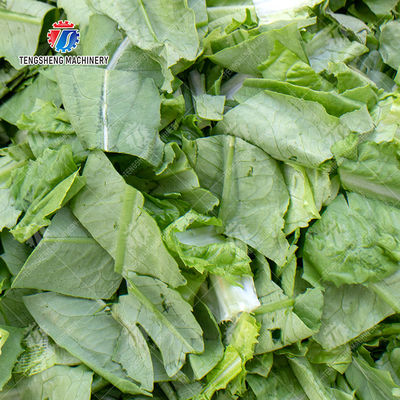 Double head vegetable cutting machine papaya chieh qua pumpkin wax gourd Ginger Potato Carrot radish Taro Sweet potato Yam onion Greens Lettuce Cao Xin Baby Cabbage Chinese Cabbage Cabbage processing