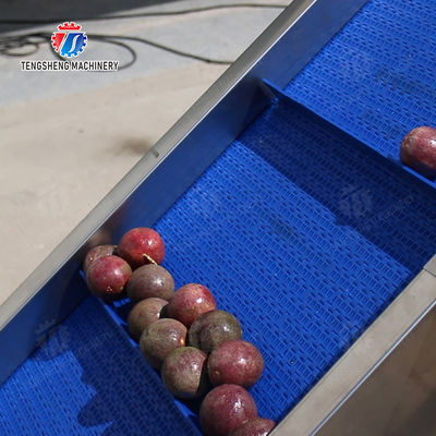 Fruit Orange Potatoes round tuber crops Carrots longitudinal root Onions Leafy vegetables Cabbage varieties Apple chieh-qua Ginger Potato Carrot radish lemon kiwi fruit Passion Pre foaming elevator