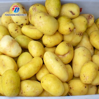 Desktop Fruit And Vegetable Peeler Machine Potato Barrel Peeling Equipment