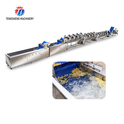 Orange Potato  Potatoes round tuber crops Carrots and longitudinal root vegetables Onions Cabbage varieties Fruiting veget Large-scale fruit and vegetable washing drying and cutting production line