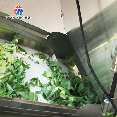 Orange Potato  Onions Ginger Potato Carrot Taro Sweet potato Yam Saiko persimmon papaya horseshoe 2025 Fruit and vegetable cutting, cleaning and air-drying production line