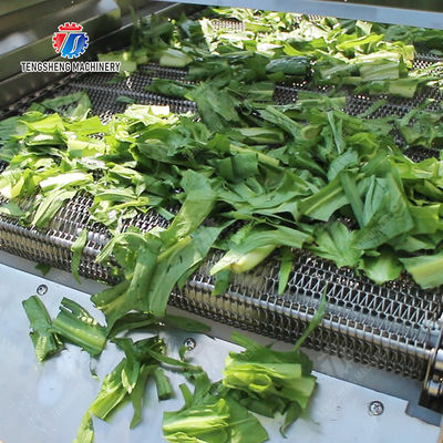 Orange Potato  Onions Ginger Potato Carrot Taro Sweet potato Yam Saiko persimmon papaya horseshoe 2025 Fruit and vegetable cutting, cleaning and air-drying production line