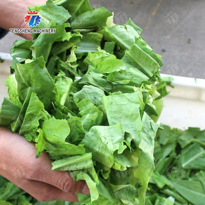 Double head vegetable cutting machine papaya chieh qua pumpkin wax gourd Ginger Potato Carrot radish Taro Sweet potato Yam onion Greens Lettuce Cao Xin Baby Cabbage Chinese Cabbage Cabbage processing