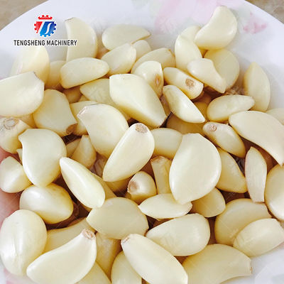 Onion peeling machine onion garlic Onions processing production line
