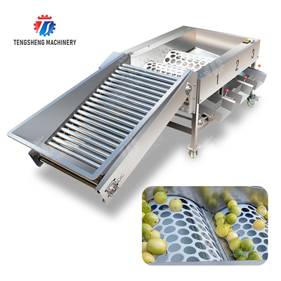 Maçã Paixão Máquina de classificação de frutas e legumes mandarina frutas da paixão abacate cereja manga pêra banana mangostão kiwi frutas laranja frutas vegetais alface repolho aipo Cereais de couve