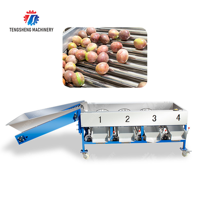 Maracujá tangerina abacate cereja Manga pera banana mangostão kiwi fruta Inspeção Classificação Transporte processamento produção Máquina de seleção de frutas e vegetais