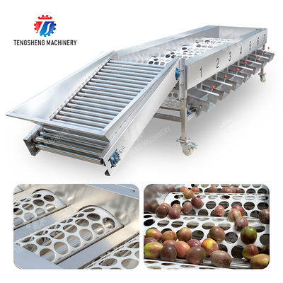 Processamento Produção Inspeção de classificação Frutas Vegetais Cebolas Saiko caqui Maçã Batata Mandarina frutas da paixão abacate cereja Mango pêra banana mangostão kiwi frutas Máquina de classificação de frutas