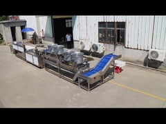 Leve sua linha de processamento de frutas e vegetais ao próximo nível com a Máquina de Escova Paralela TS-M100